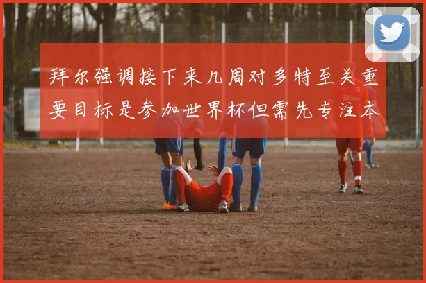 拜尔强调接下来几周对多特至关重要目标是参加世界杯但需先专注本赛季表现