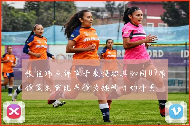 张佳玮点评华子表现称其如同09韦德莱利曾比韦德为矮两寸的乔丹