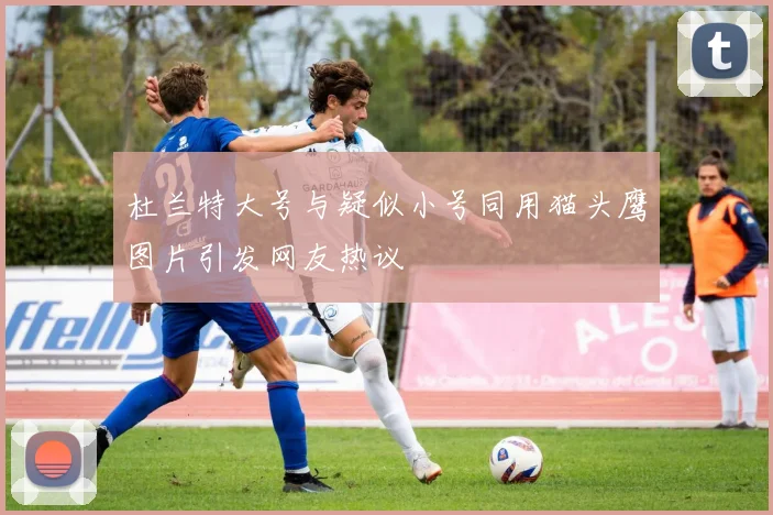 杜兰特大号与疑似小号同用猫头鹰图片引发网友热议