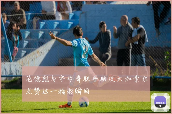 范德彪与字母哥联手助攻大加索尔点赞这一精彩瞬间