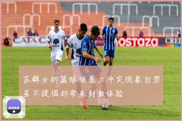 苏群分析篮球场暴力冲突现象打架虽不提倡却带来刺激体验